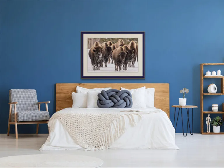 Art Placer Bison Walk-1200