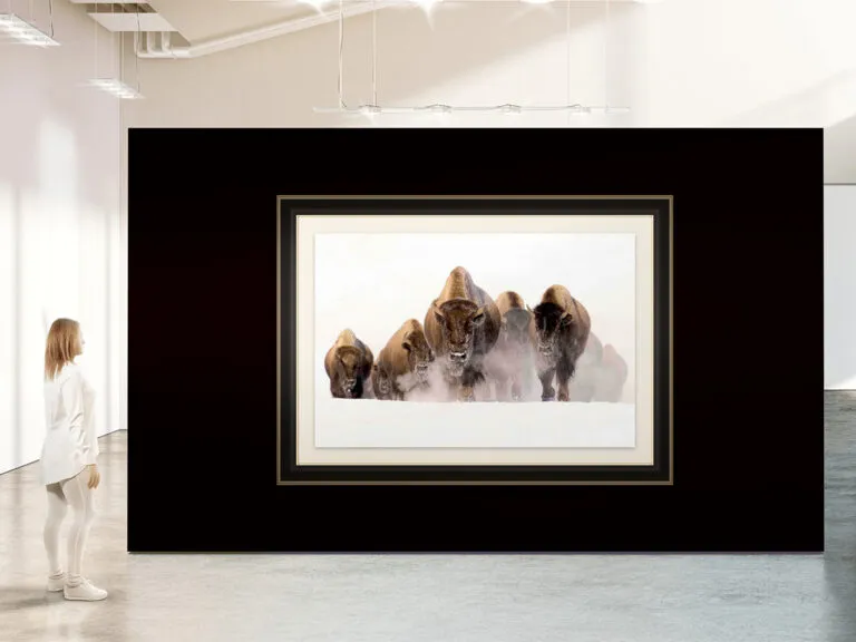 Art Placer Crest Line-1200