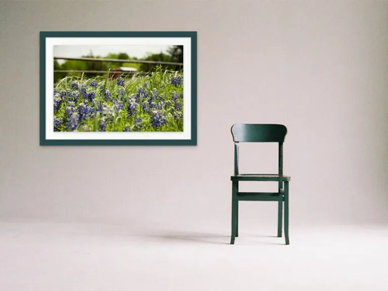 Art Placer Flowers on the Fence-2-1200